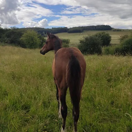 Landsted De Solama Avec *