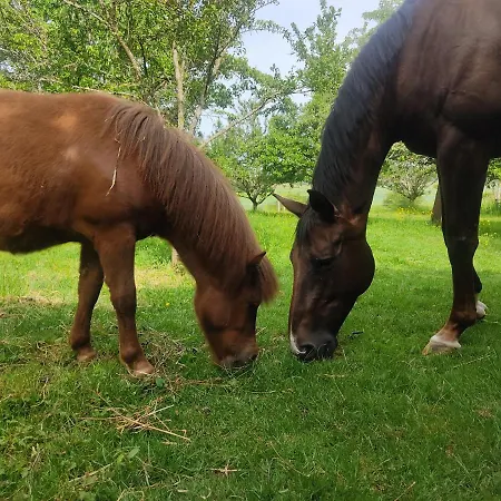 منزل ريفي De Solama Avec