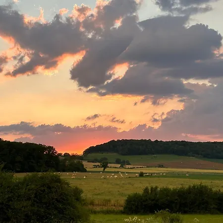 De Solama Avec Landsted