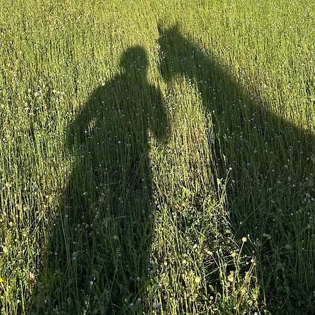 De Solama Avec * Balleville