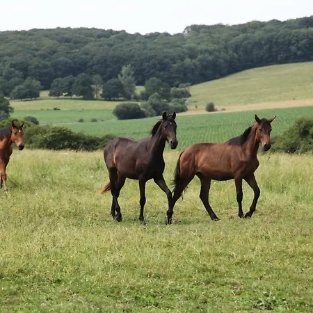 De Solama Avec منزل ريفي