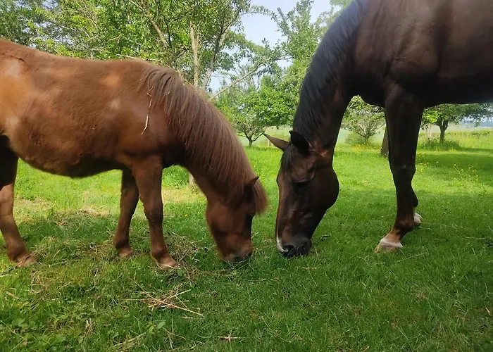 Landhuis De Solama Avec