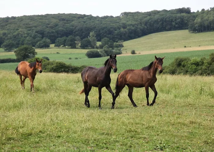 De Solama Avec Landhuis